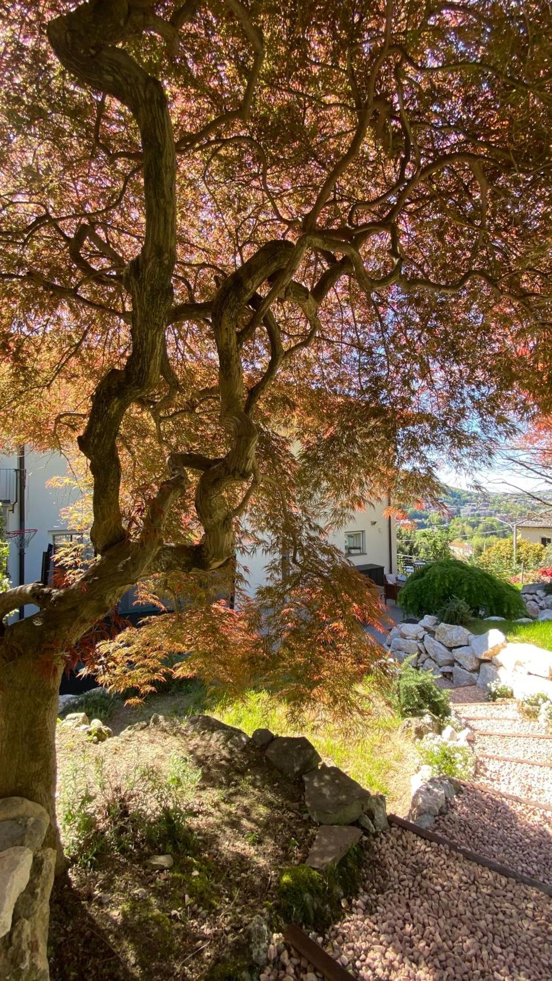 Вилла I Faggi Rossi - Red Beech Trees Комо Экстерьер фото
